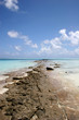 Tropical Island