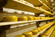 Gouda - Dutch Cheese