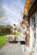Ferienwohnung mit Terrasse und Garten