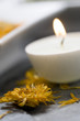 Dried flower and candle, close-up