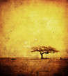 grunge image of a tree on a vintage paper grunge image of a tree on a vintage paper