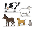 animales