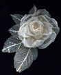 buttonhole, work of authorship