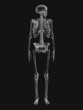 Radiologie Radiologie