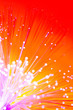 holiday background