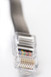 Network cable