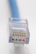Network cable