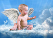 Foto: angel angel