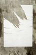 Empty torn poster on concrete wall Empty torn poster on concrete wall