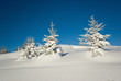 neige belledonne