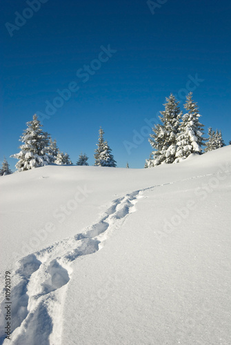 neige belledonne