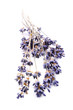 lavender bunch