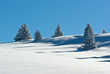 neige belledonne