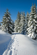 neige belledonne