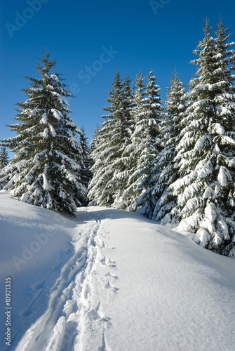 neige belledonne