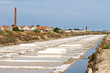 Saline marshes. Saline marshes.