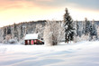 Winter landscape