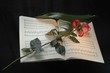 Mozarts Requiem