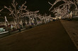 Unter den Linden 03