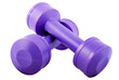 two purple dumbbells 2 kilo each