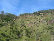 Levada Nova à Madère