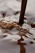 chocolate milk