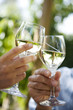 Foto: toasting in the garden toasting in the garden
