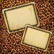 exotic vintage photoalbum
