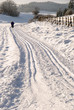 skiing