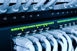 network switch and cables