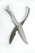 Chicken carving scissors Chicken carving scissors