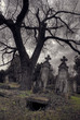 halloween scene with opened tomb