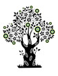 Tree.