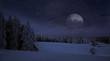 Photo: Winter Winter