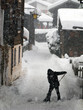 chutes de neige chutes de neige