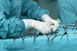 surgery 11