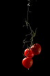 Pomodori