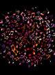 rock musique