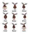 All Nine Reindeers With Names - Isolated On White