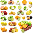 fruits