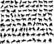 100 vector silhouettes of horses