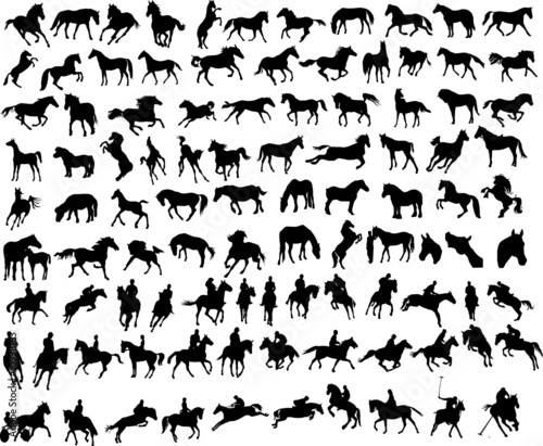 100 vector silhouettes of horses