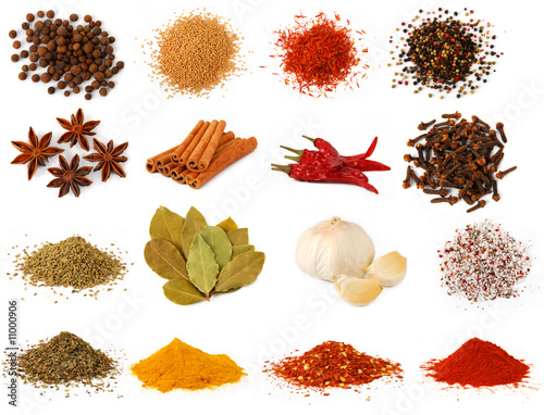 Herbs on Herbs And Spices Collection    Photka  11000906   See Portfolio