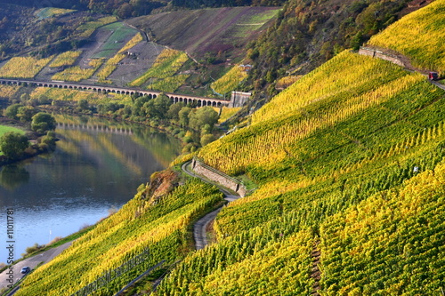 Mosel im Herbst