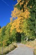 Indian Summer im Allgäu
