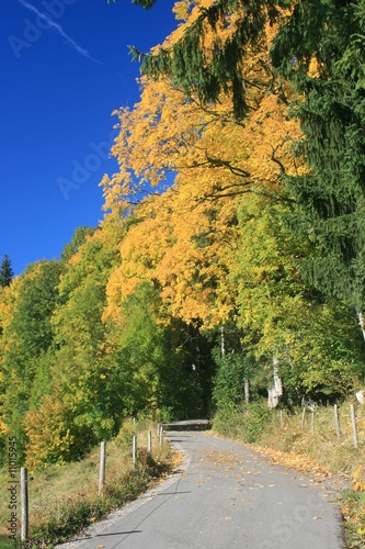 Foto: Indian Summer im Allgäu Indian Summer im Allgäu