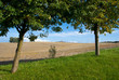 Leuchtturm zwischen Bäumen Leuchtturm zwischen Bäumen