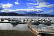 boats