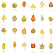 leaf icon