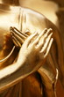 Photo: Hands Hands